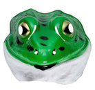 Frosch Tiermaske Classic für Kinder - 1